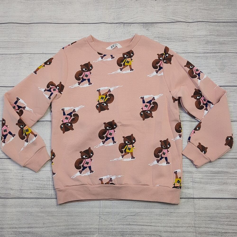 8/10 H&M Hiking Squirrel Pullover